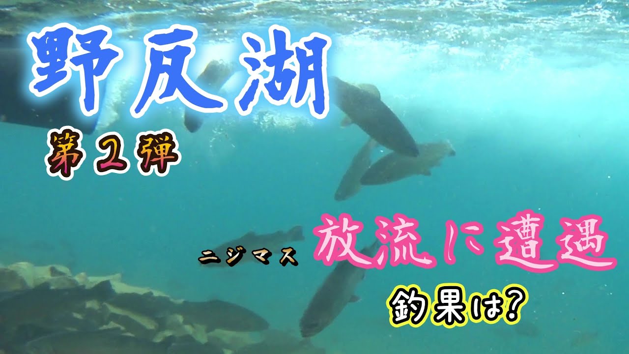 2024年 野反湖のニジマス放流に遭遇🌈釣果は？野反湖トラウトルアーフィッシング 第二弾 スプーンの釣り/Lake Nozori/Rainbow Trout 釣行日2024/6/17