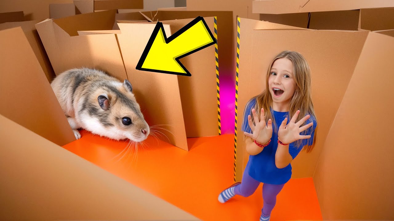 Nastya y el hámster escapan del laberinto de cartón
