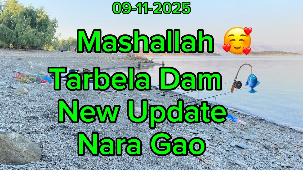 Tarbela Dam 🎣 | New Update 😍| Mashallah 🥰 | Nara Gao 🌲 | 09-11-2025 | 