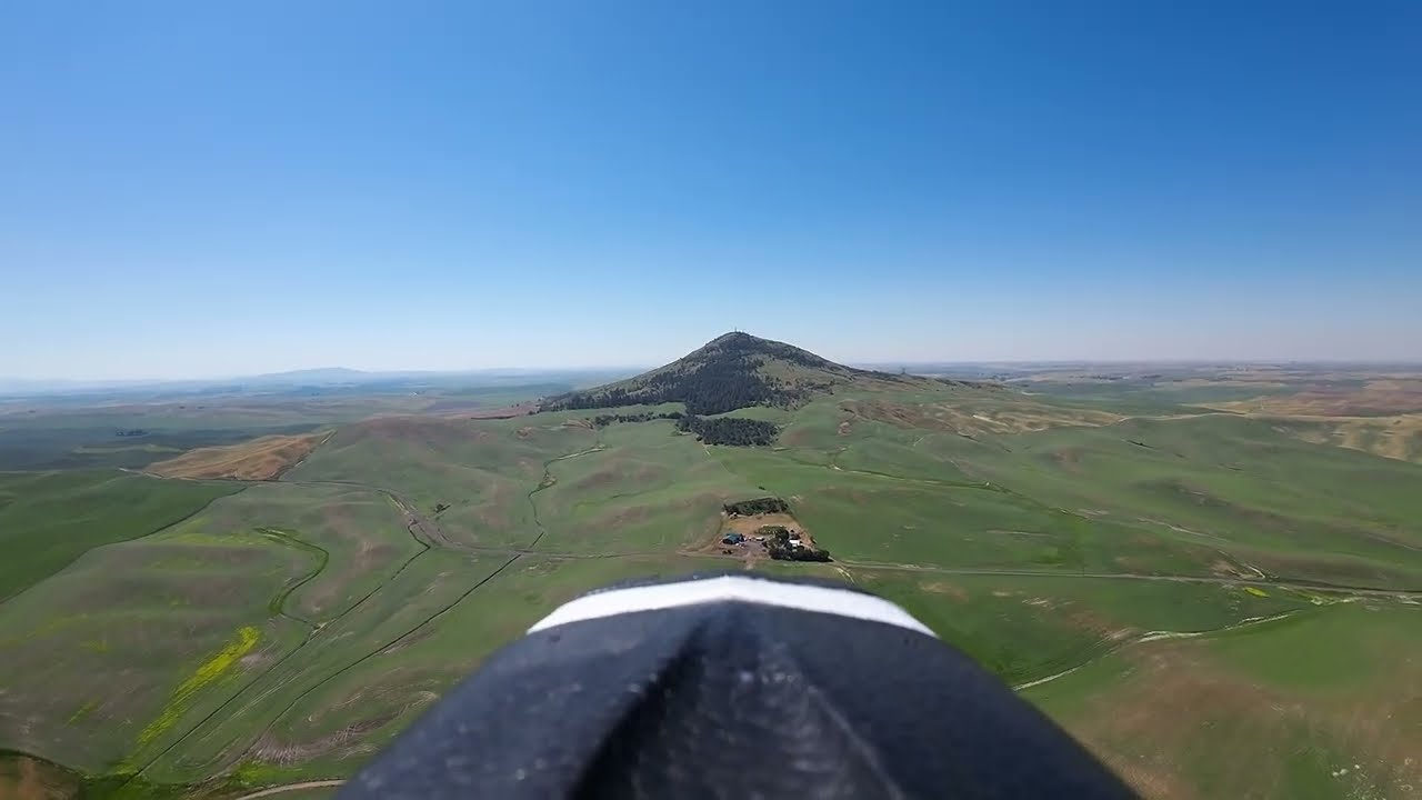 Long Summer Flight Zohd Altus