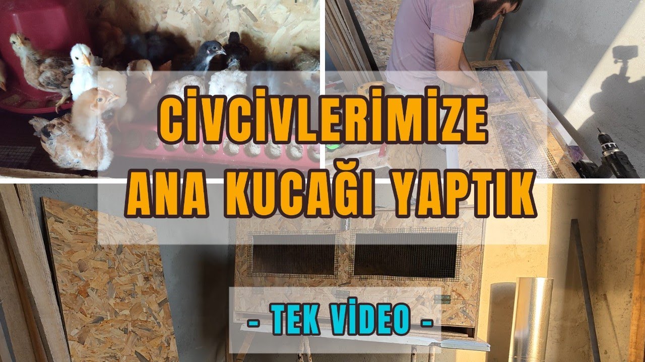 Civcivlerimize Ana Kucağı Yaptık. Civciv Ana Kucağı Nasıl Yapılır ? Tek Videoda Sıfırdan Yapım