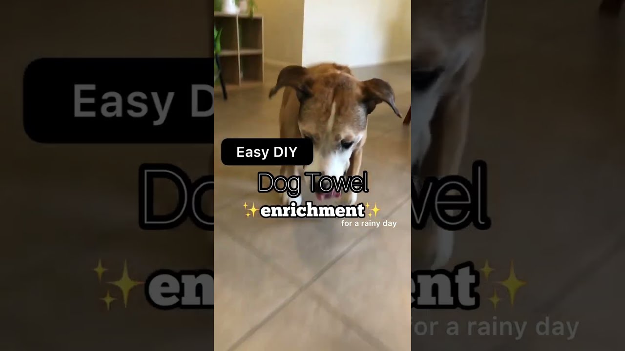 Easy DIY Dog Towel Enrichment Toys | Interactive Toys For Dogs