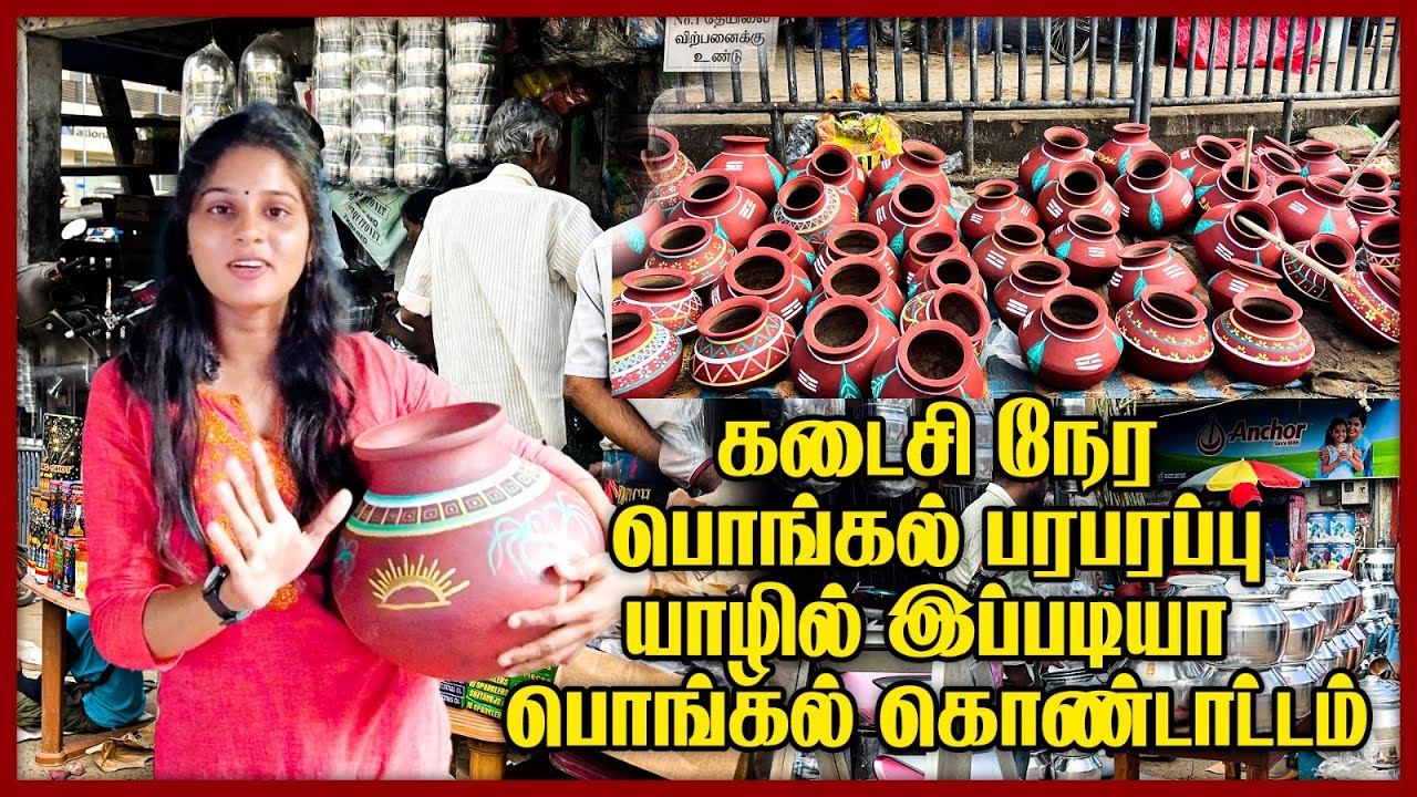 கடைசி நேர பொங்கல் பரபரப்பு  யாழில் இப்படியா பொங்கல் கொண்டாட்டம் | Jaffna Pongal Celebration
