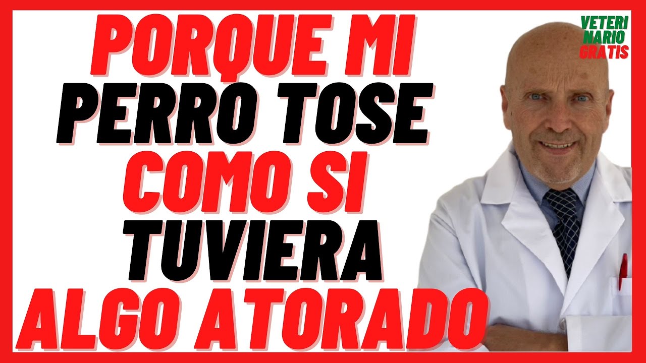 Porque mi Perro TOSE  Mucho, como si Tuviera algo ATORADO en la Garganta 🔴 y Tiene ARCADAS  🔴 Vomita