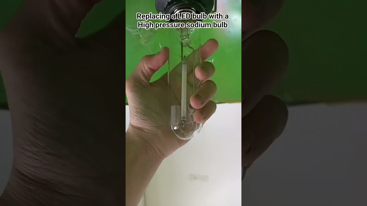 LED High pressure sodium bulb