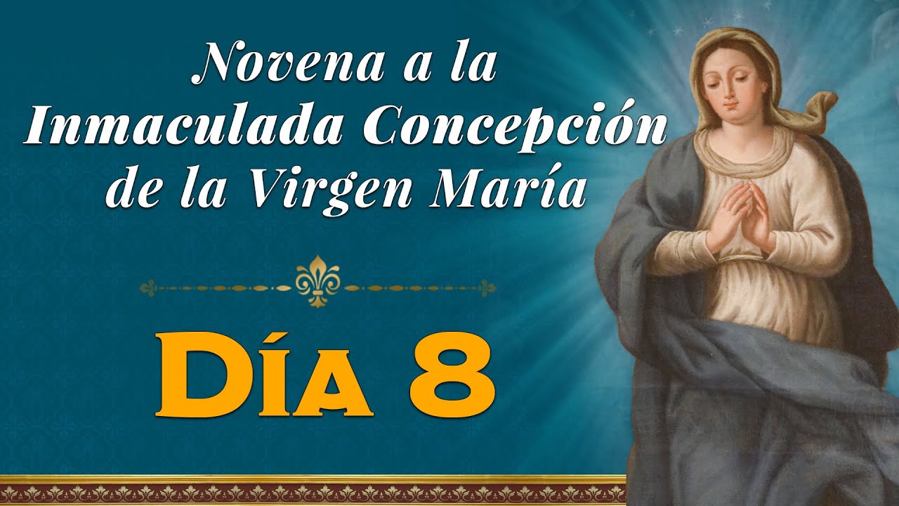 Octavo d&iacute;a - Novena a la Inmaculada Concepci&oacute;n #novena #inmaculadaconcepci&oacute;n