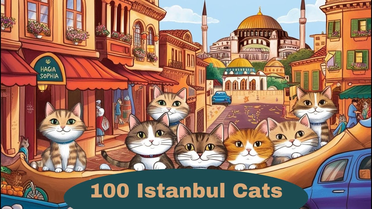 Can you find 100 cats in Istanbul? - 100 Istanbul Cats #cat #100istanbulcats