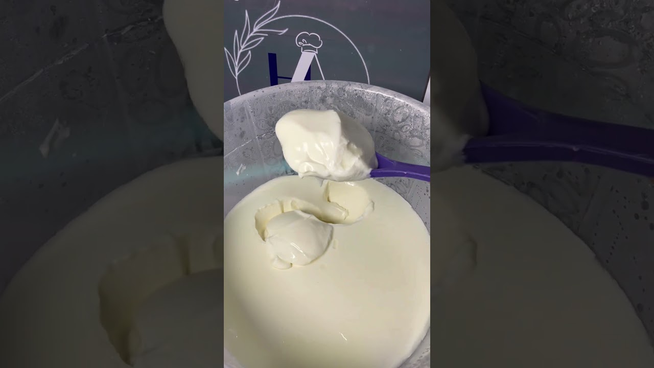 Scooping of the well fermented yogurt after fermentation 