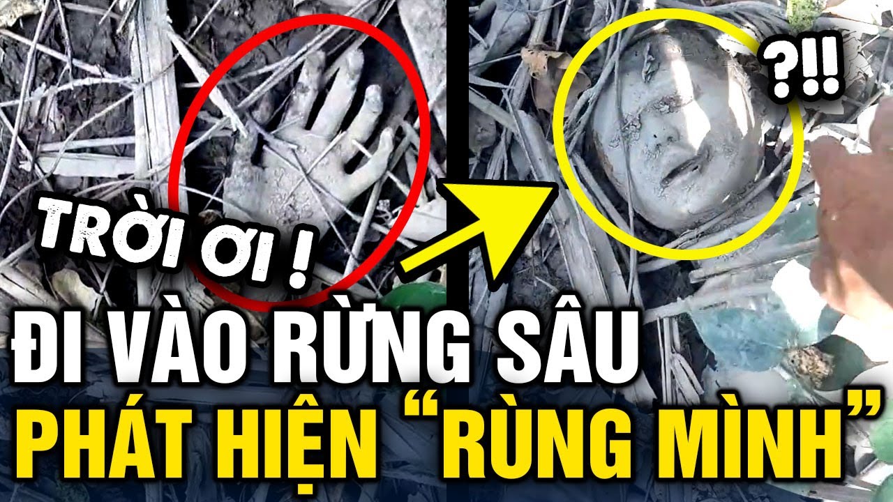Đang đi TRONG RỪNG SÂU, người đàn ông lạnh gáy phát hiện NHIỀU BỘ PHẬN CƠ THỂ | Tin 3 Phút