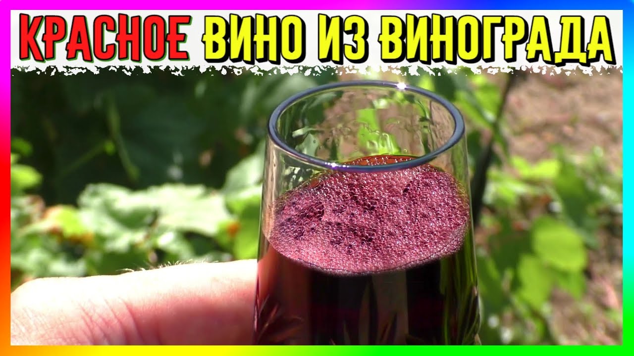 🍷 Красное Полусладкое Вино из Тёмных Сортов Винограда 🍇