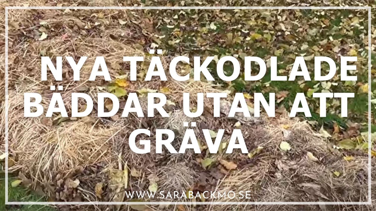 Nya täckodlade bäddar utan att gräva