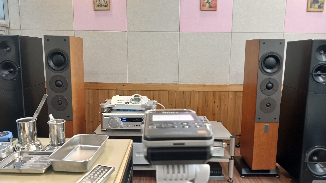 Dynaudio C5 #22