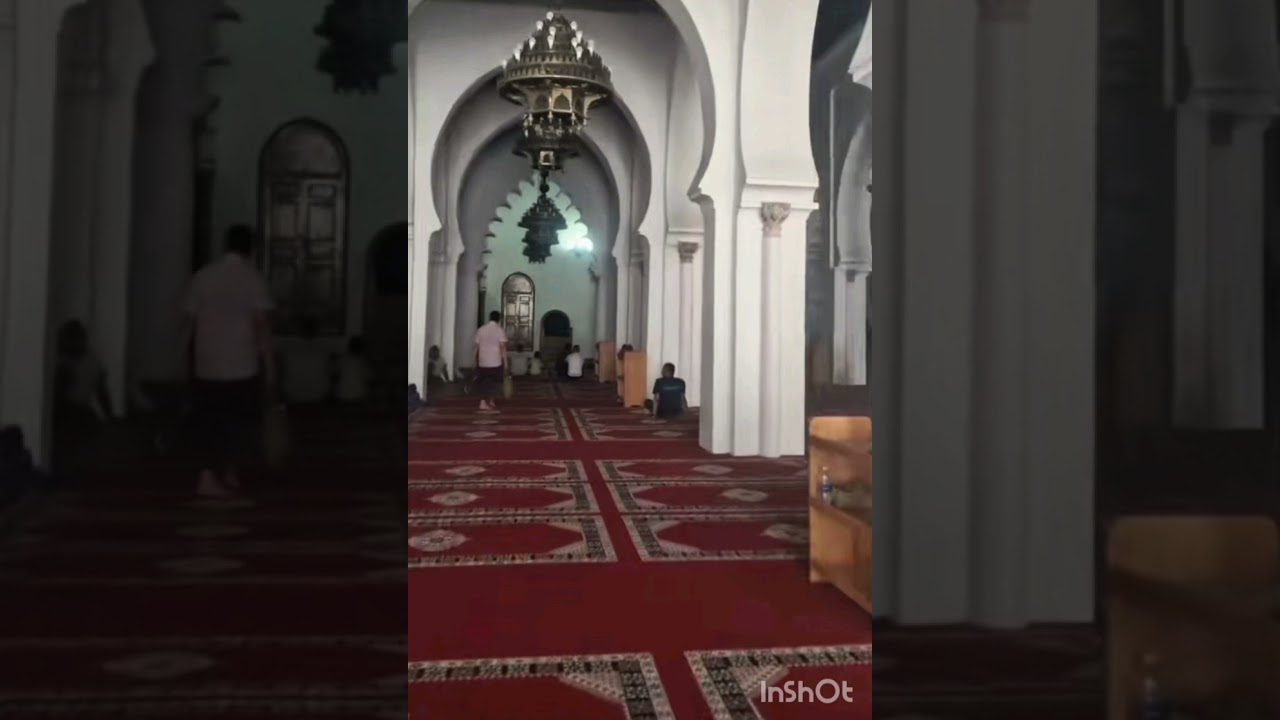 السَّدْلُ وَالْقَبْضُ فِي الصَّلَاةِ عِنْدَ الْمَالِكِيَّةِدِرَاسَةٌ فِقْهِيَّةٌ أُصُولِيَّةٌ تحليلي
