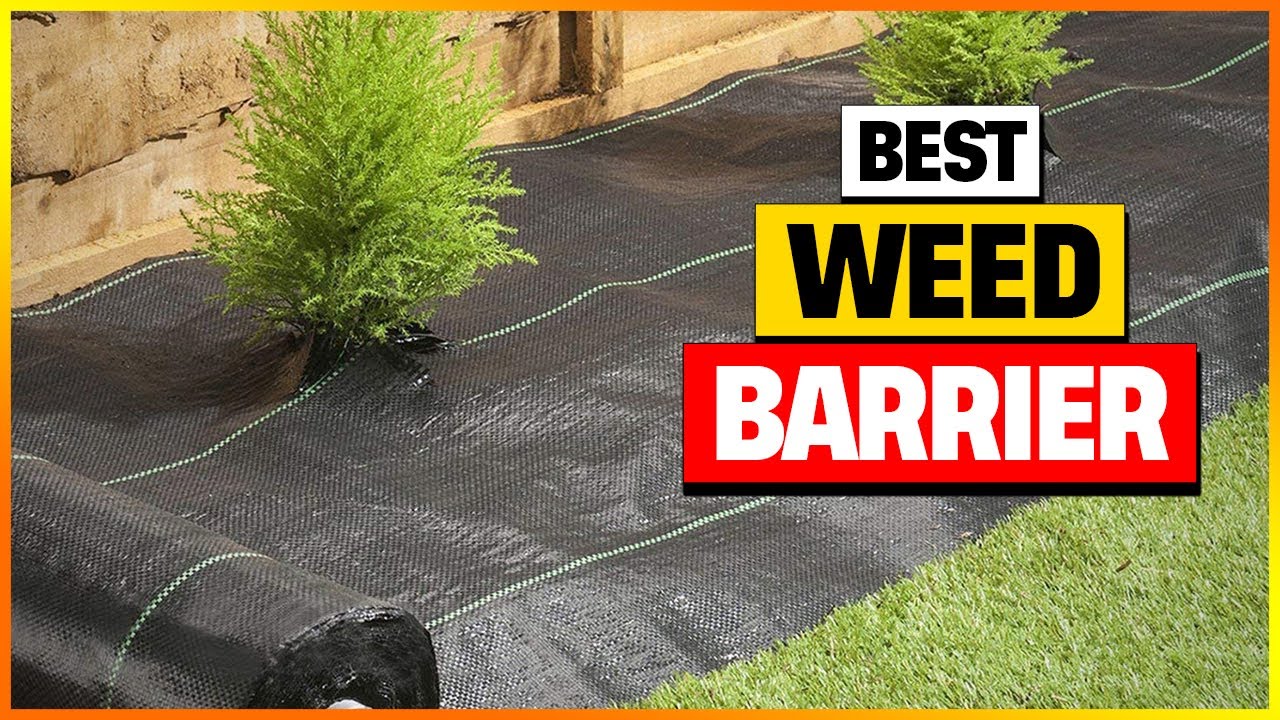Top 5 Best Weed Barrier Reviews in 2026 [Must See Picks for Every Gardener!]