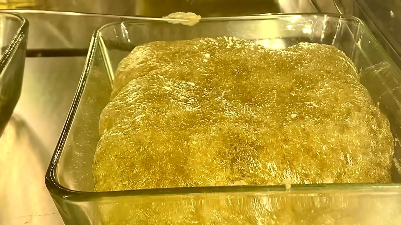 Closed loop dewaxed bho extraction purging in vacuum oven. #710 #bho #cannabiseducation