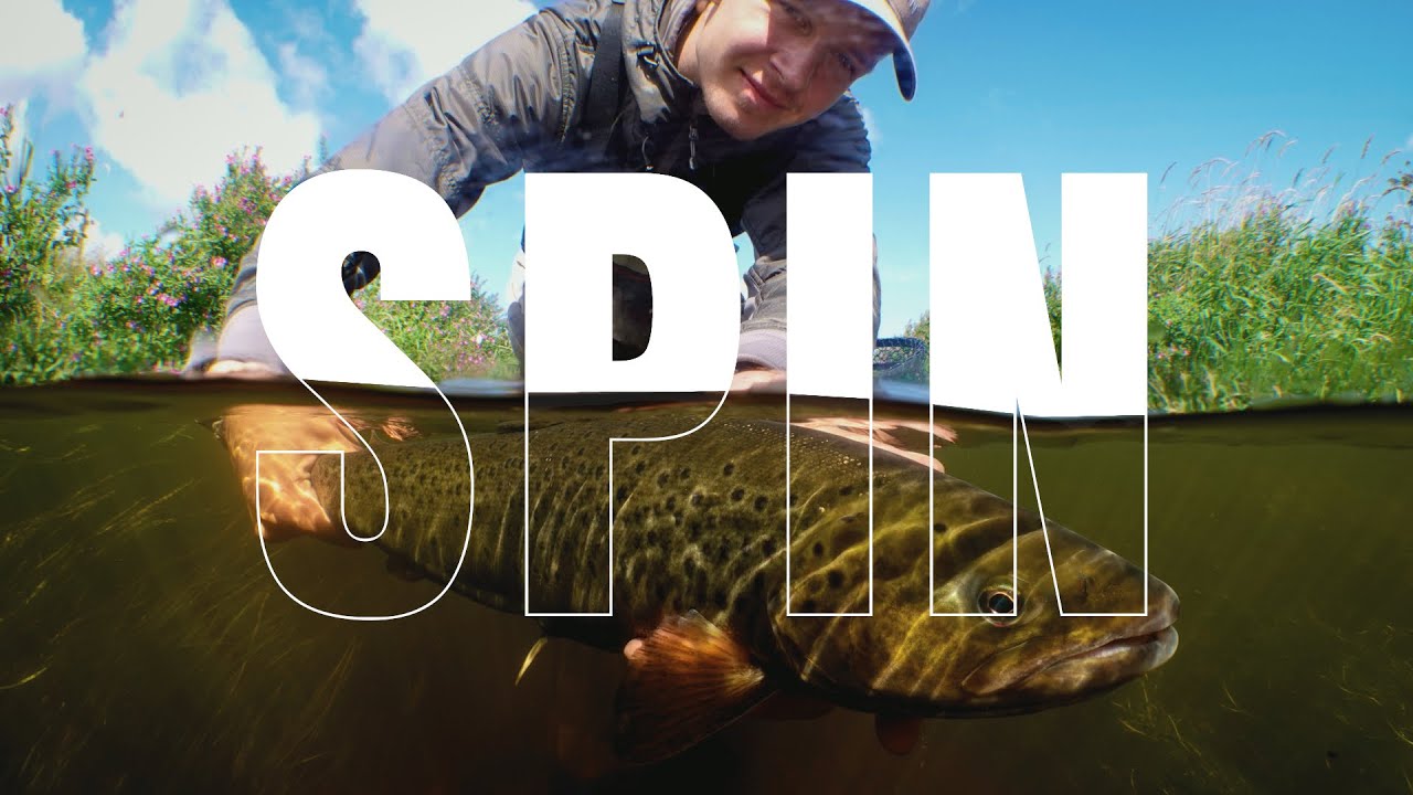 SPIN - Spinnefiskeri efter havørreder i de Himmerlandske åer (4K)