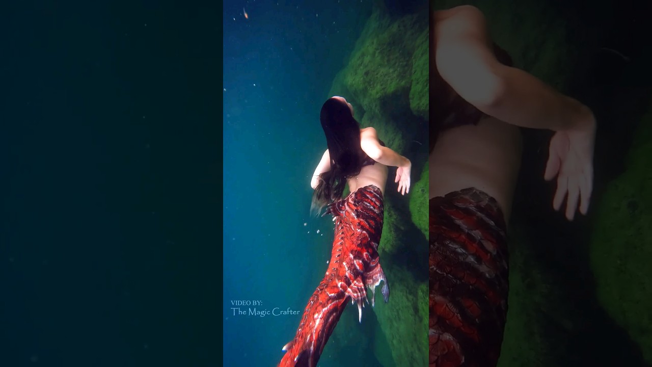 red mermaid underwater