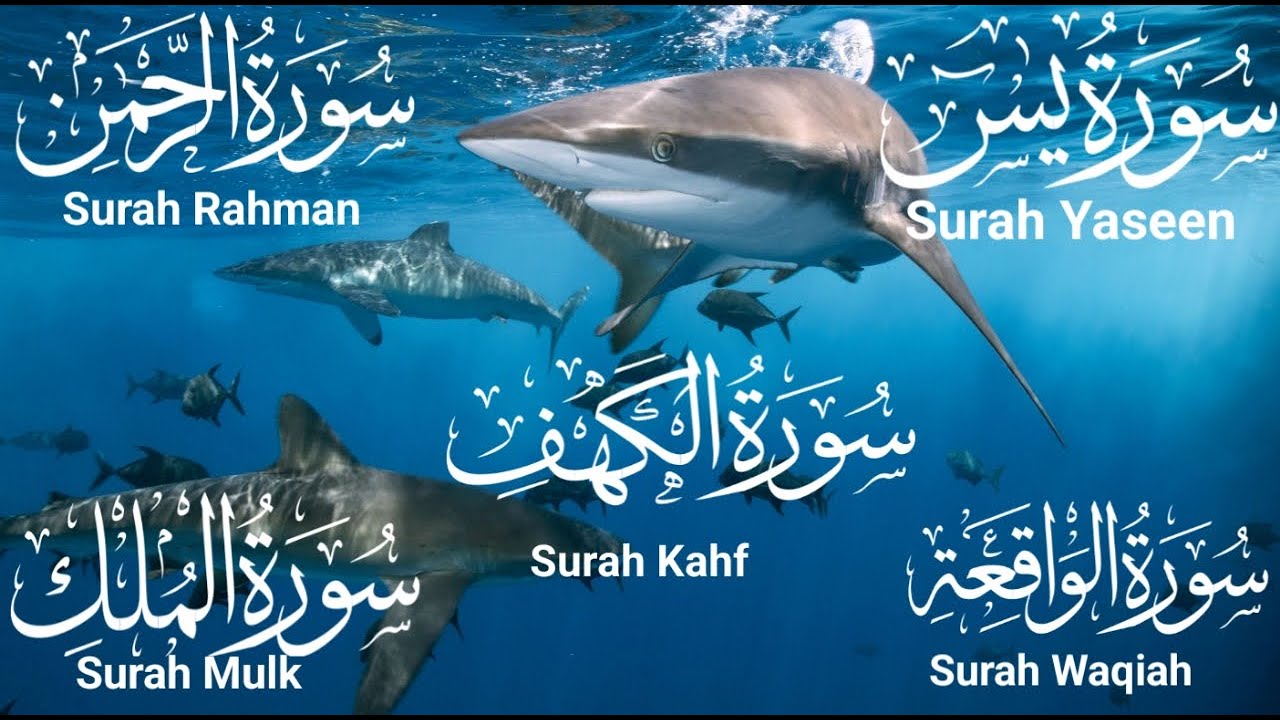 Surah Kahf | Surah Yaseen | Surah Rahman | Surah Waqiah | Surah Mulk | Quran Recitation | Episode 87