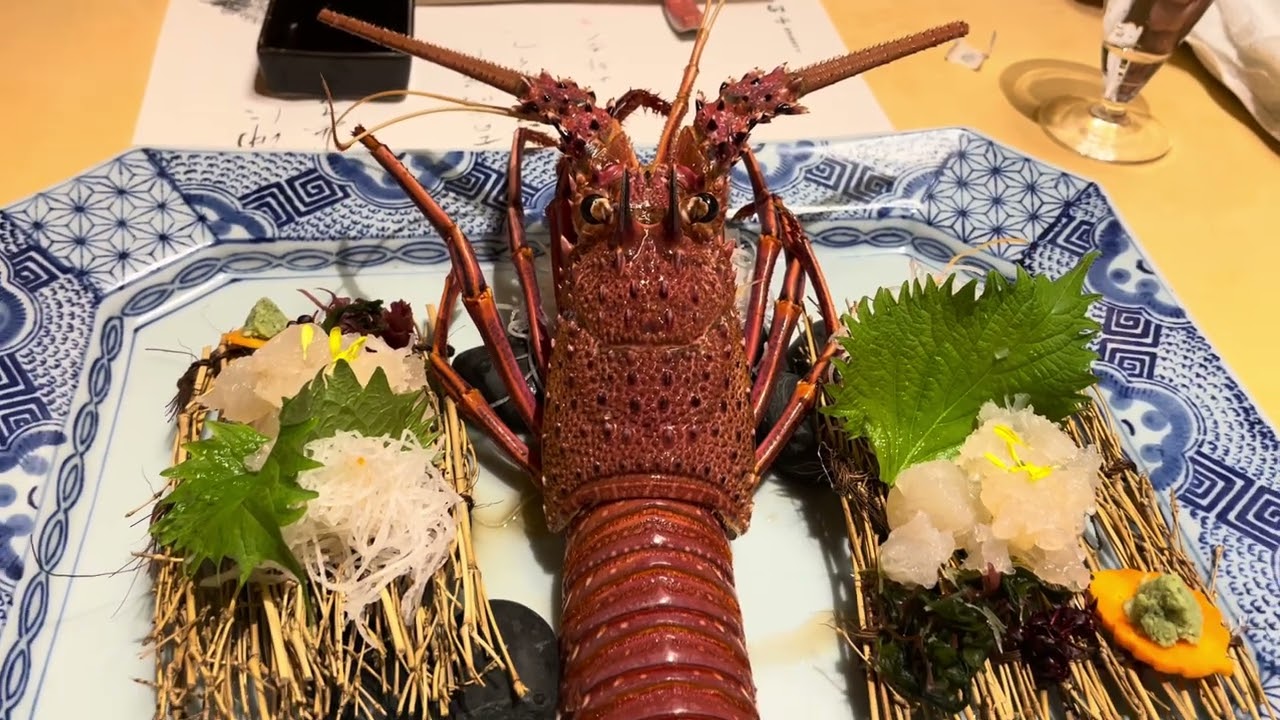 2023/1/12 16:58 えび