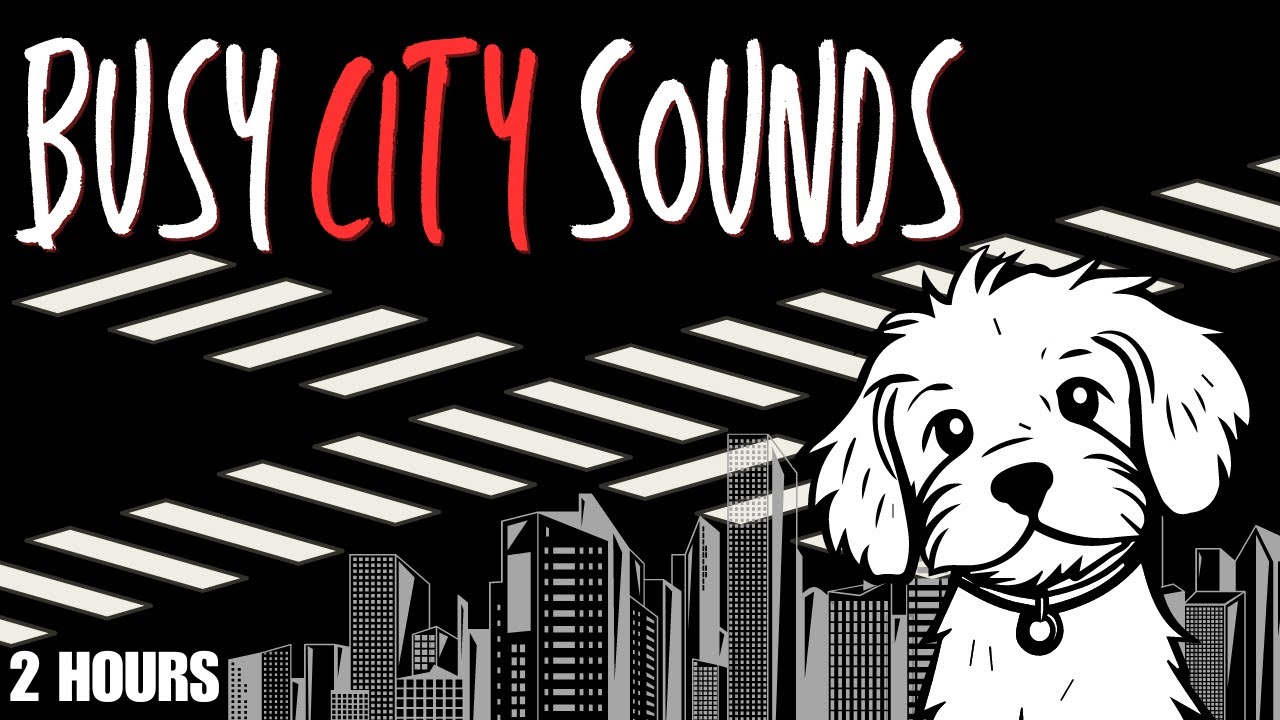 Busy City Sounds| Traffic, Trains, Ferry, Carnival Desensitization | Dog Exposure