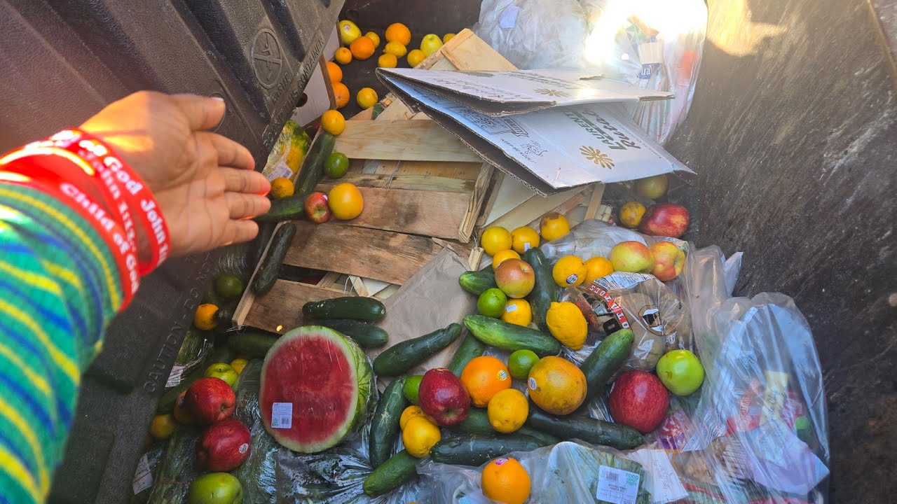 Dumpster Diving: This Store is GUILTY of MASSIVE WASTE!