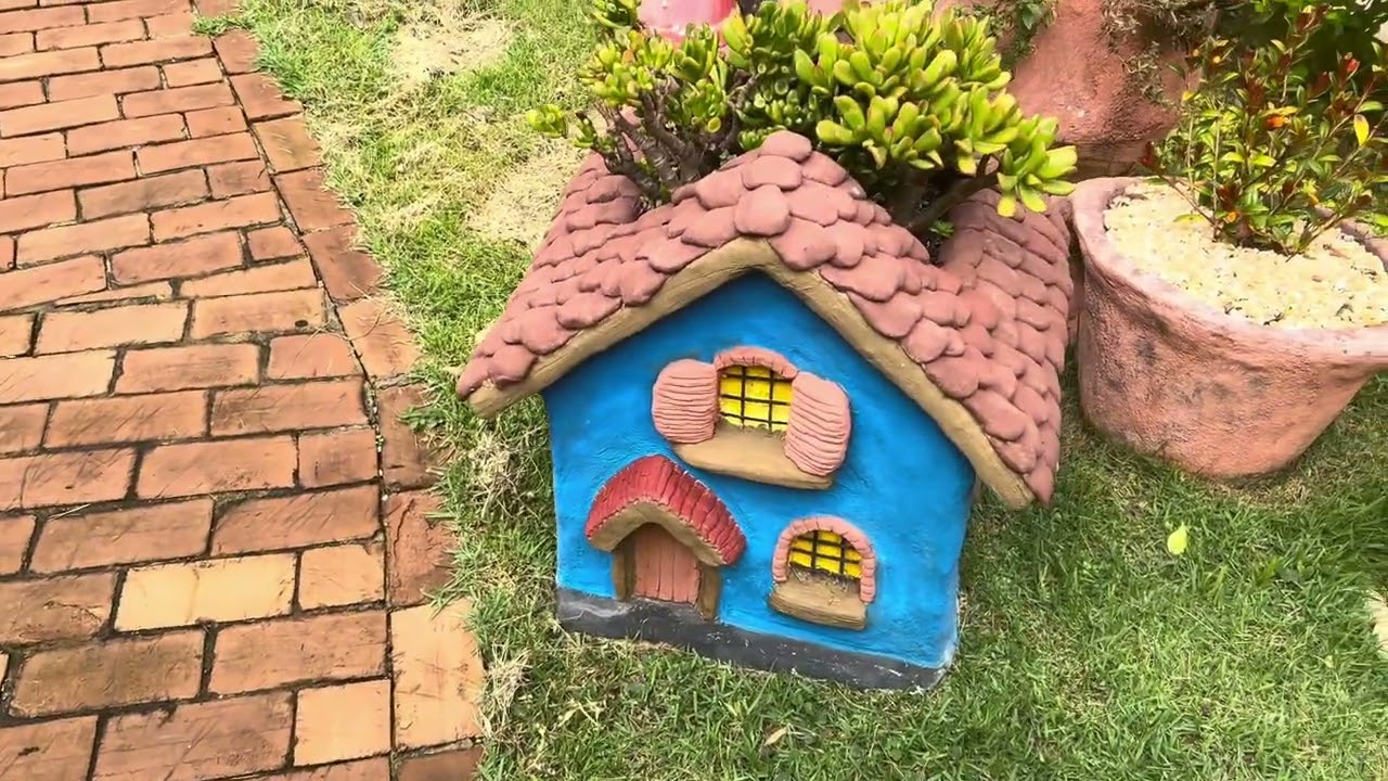 Como meu jardim ficou depois de tanta chuva