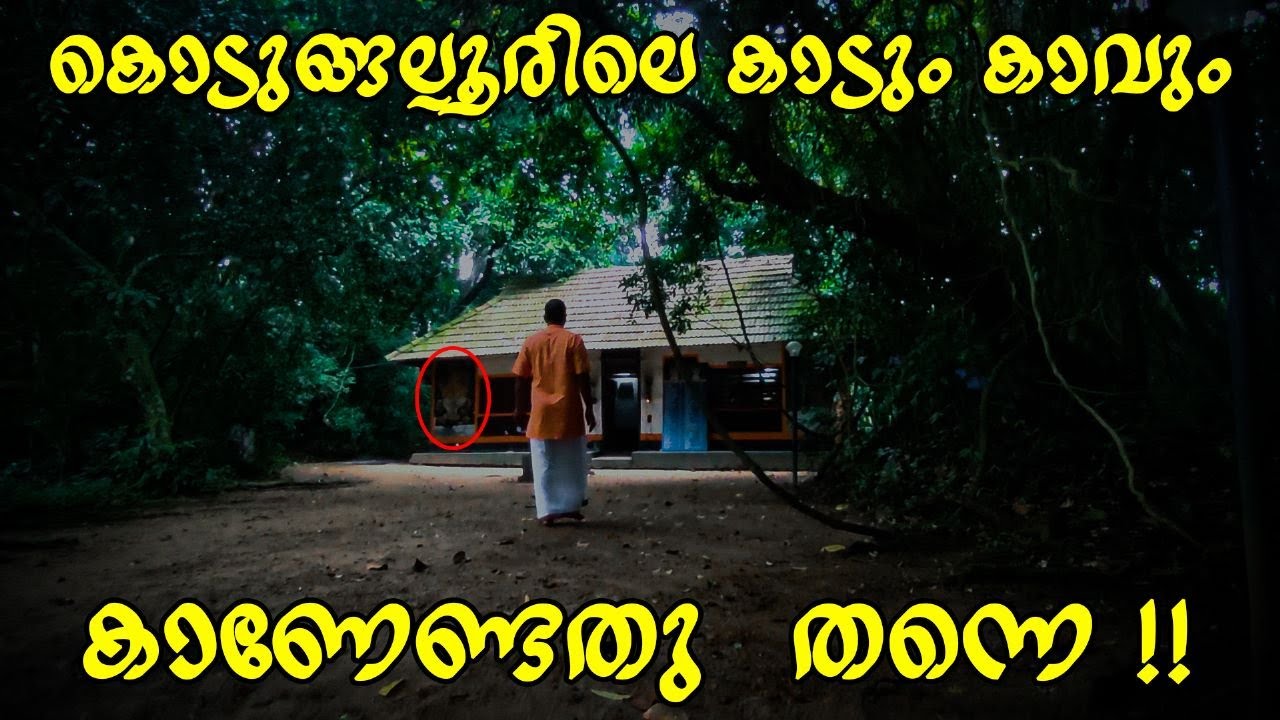 കൊടുങ്ങല്ലൂരിലെ കാട്ടിനുള്ളിലെ വ്യത്യസ്തമായ അപൂർവ കാവ് Kodungallur Forest Temple |  Kattil Ambalam