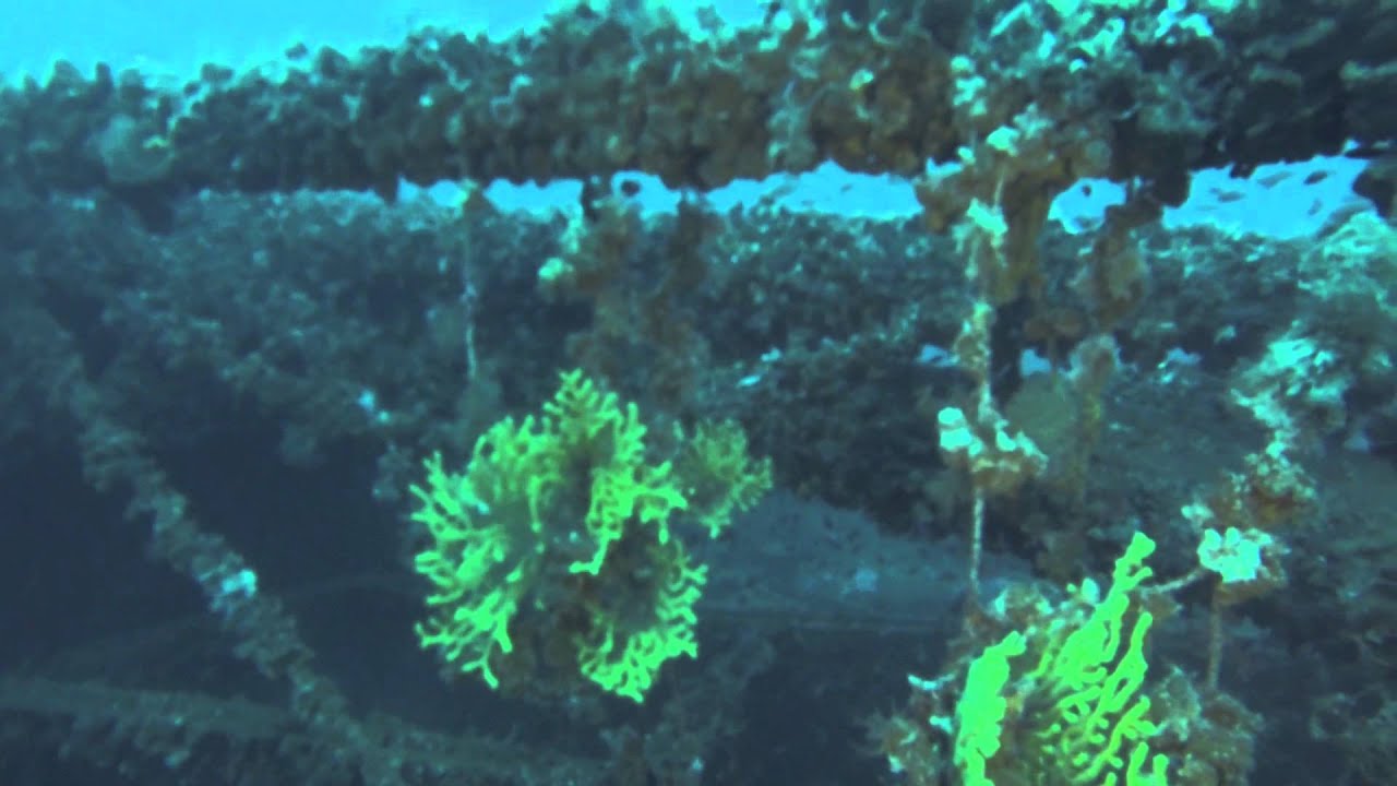Ugo Bassi Wreck Exp