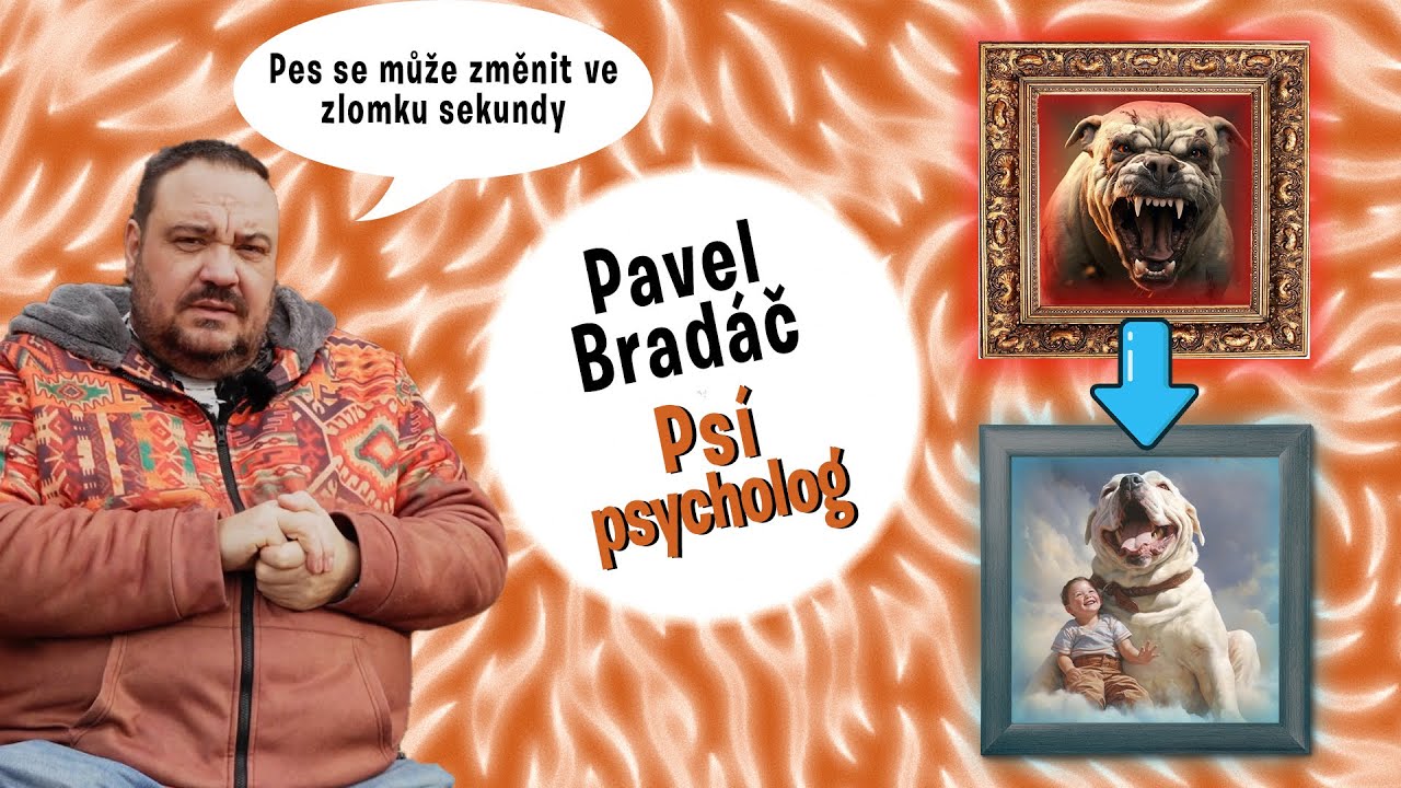 #12 Psí psycholog radí, jak se psem komunikovat i napravit problémové chování. Jde to i bez trestů!