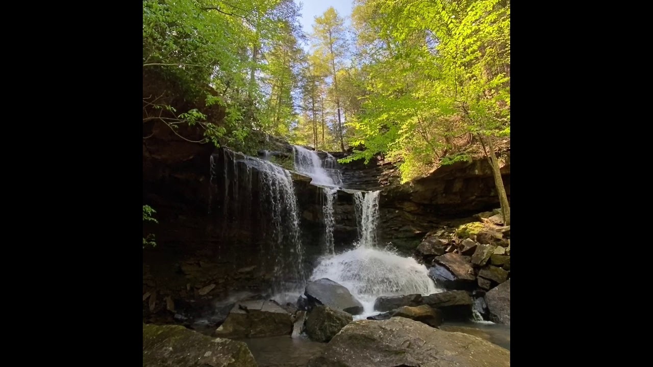 Tennessee Adventures: Waterfall Edition - Greeter Falls Hike