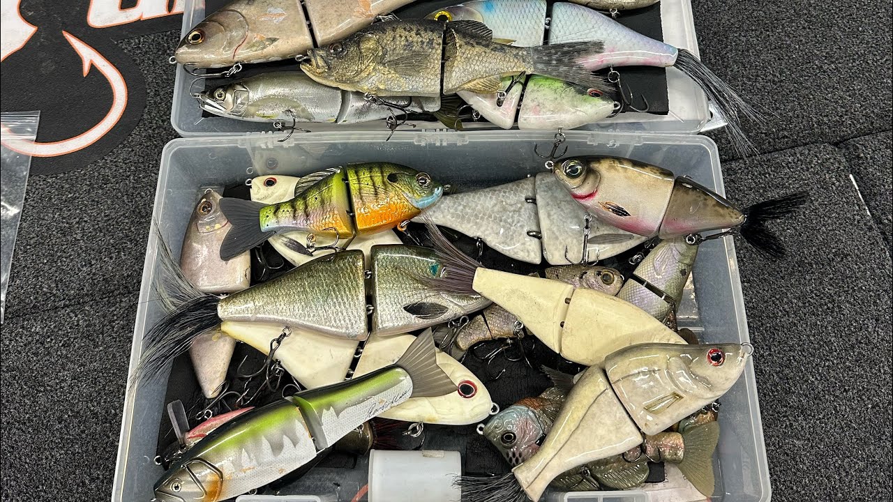 A Look Inside my Glidebait and Swimbait Box 👀