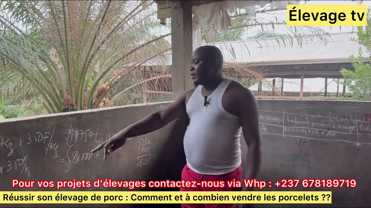 𝐫é𝐮𝐬𝐬𝐢𝐫 𝐬𝐨𝐧 é𝐥𝐞𝐯𝐚𝐠𝐞 𝐝𝐞𝐬 𝐩𝐨𝐫𝐜𝐬 : 𝐜𝐨𝐦𝐦𝐞𝐧𝐭 𝐞𝐭 à 𝐜𝐨𝐦𝐛𝐢𝐞𝐧 𝐯𝐞𝐧𝐝𝐫𝐞 𝐥𝐞𝐬 𝐩𝐨𝐫𝐜𝐞𝐥𝐞𝐭𝐬