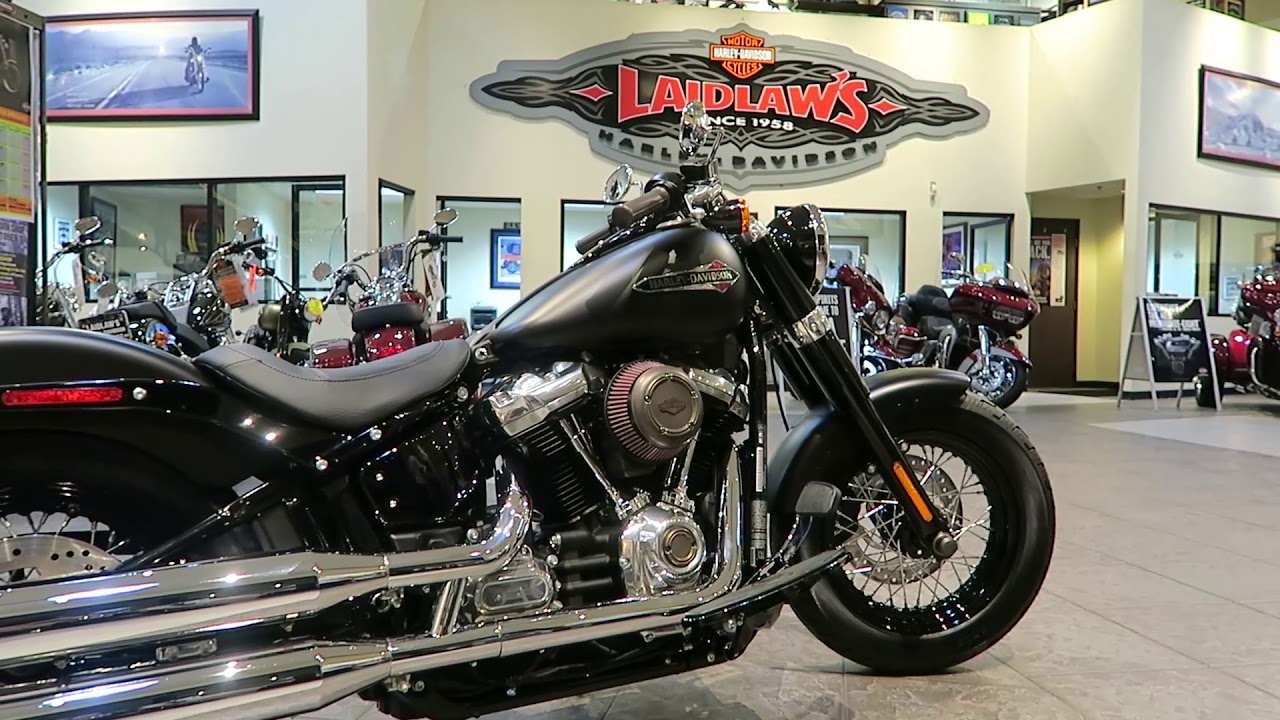 Harley-Davidson Brass Collection │All the Details on a 2018 Softail Slim