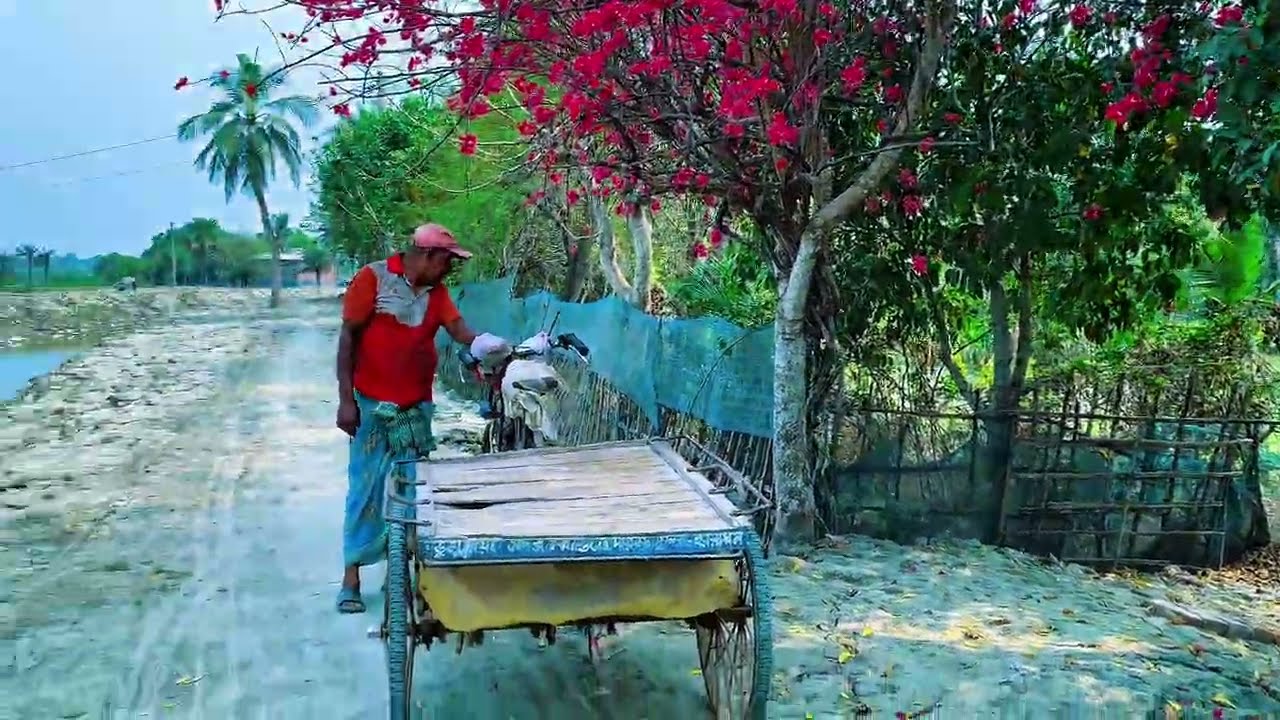 গ্রাম বাংলার মাটির ঘর || Eco Friendly Clay House Village of Bangladesh 