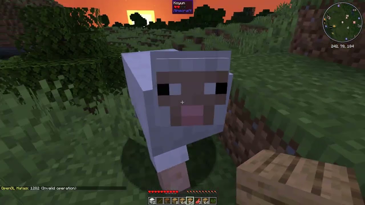 İlk Kez Minecraft Oynadık