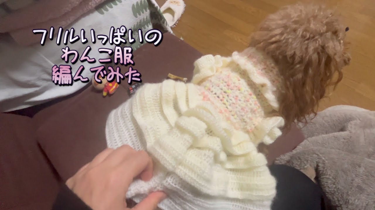 【わんこ服】まったりすぎる日常#トイプードル #ちわぷーぷー #編み物#手編み犬服 