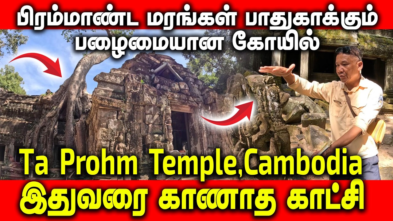 பிரம்மாண்ட மரங்கள் பாதுகாக்கும் பழைமையான கோயில் | Ta Prohm Temple,Cambodia | இதுவரை காணாத காட்சி