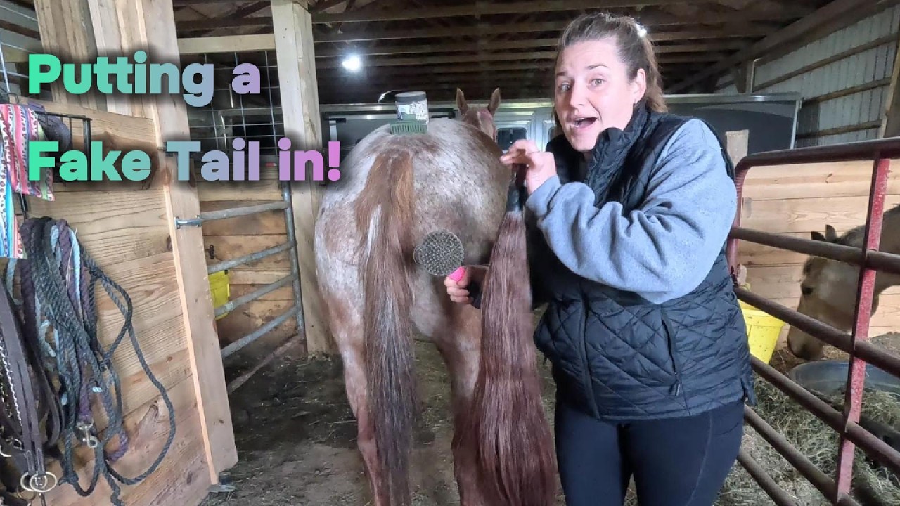 Horses have fake tails!? How to put in a fake horse tail.