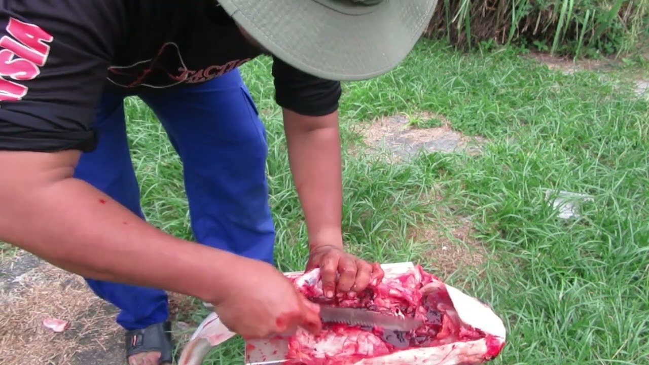 DEMONTRASI MENYIANG IKAN PATIN SUNGAI. #tutorial #fish