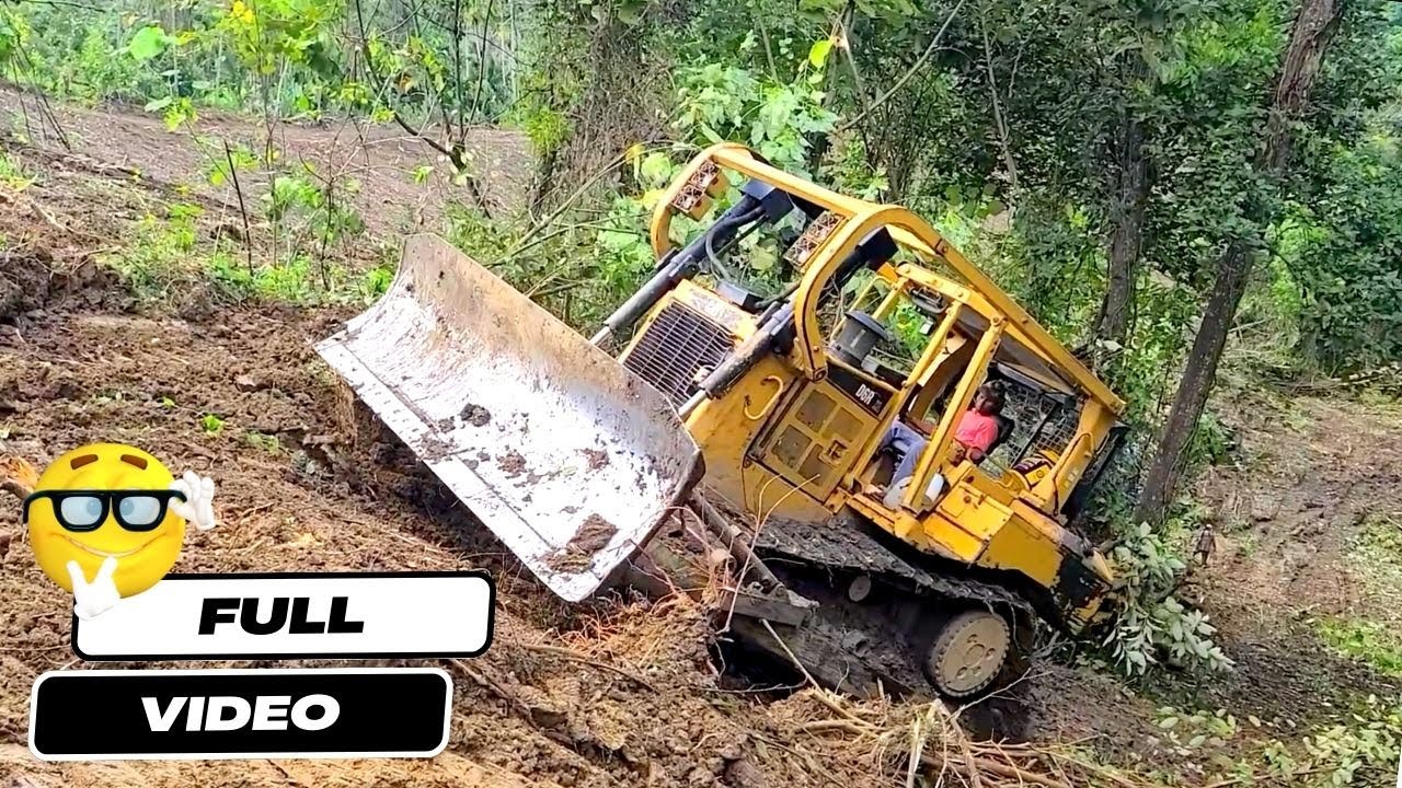 Amazing Operator Skills Dozer Leveling Dirt and Clearing The Bushes Into Plantation