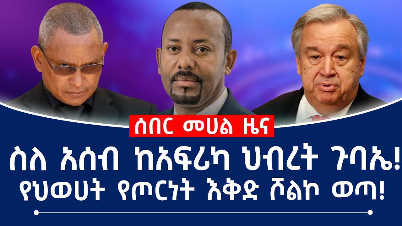 ስለ አሰብ ከአፍሪካ ህብረት አዲስ ዜና!የህወሀት የጦርነት እቅድ ሾልኮ ወጣ! #assab #fano #tplf #ethiopian