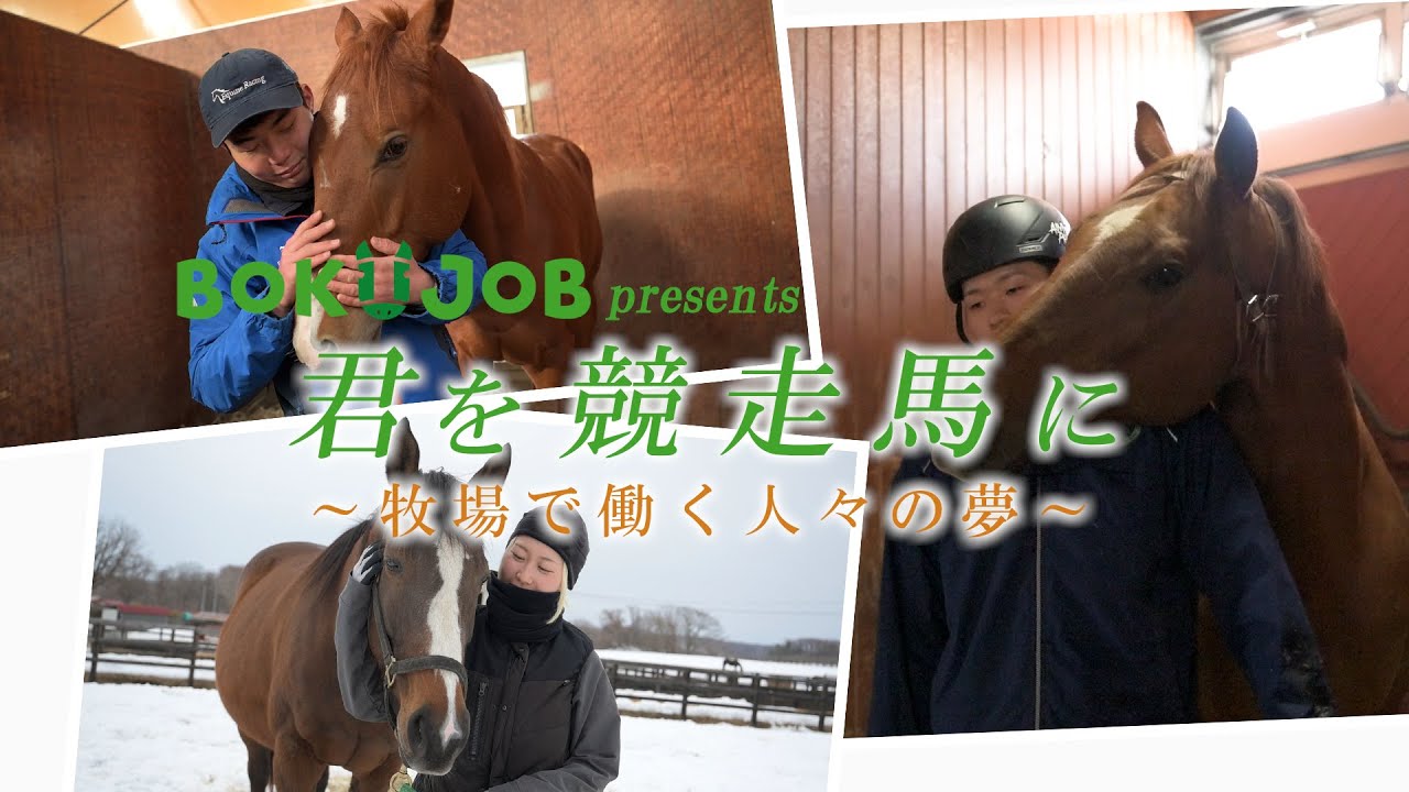 BOKUJOB 君を競走馬に ～牧場で働く人々の夢～