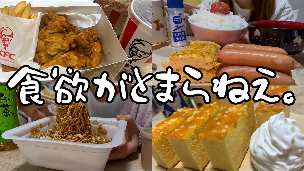 【爆食】生理前でストレス&食欲が止まらない日🍗【モッパン】