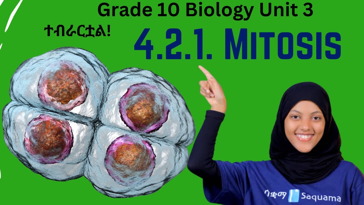 Grade 10 Biology Unit 4 : 4.2.1 Mitosis|ሳቋማ |Saquama