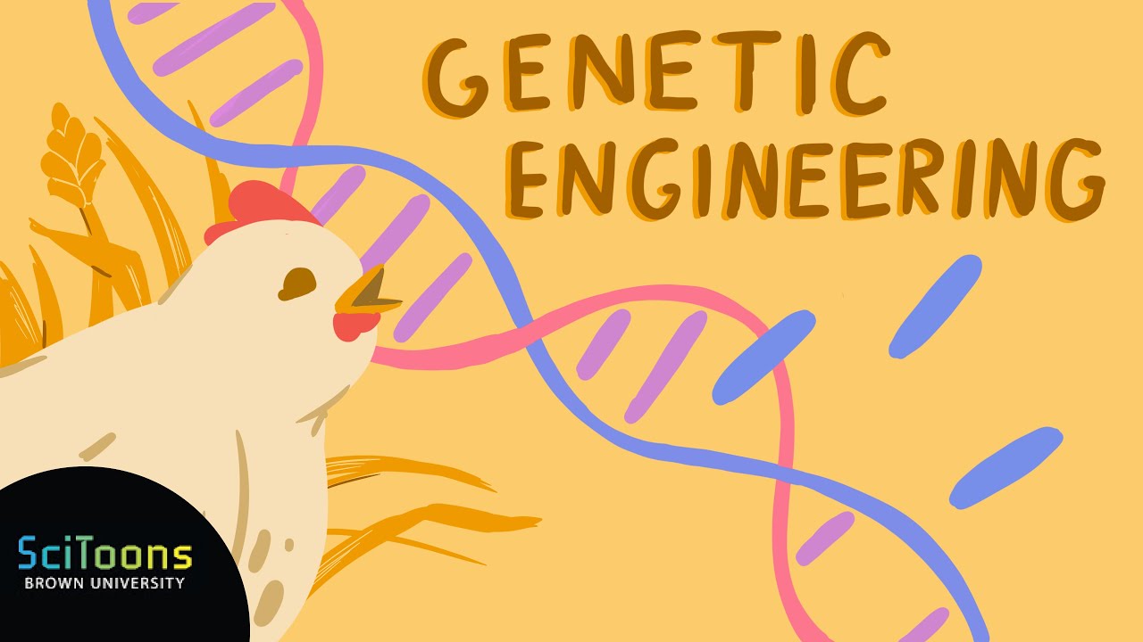 What is Genetic Engineering?