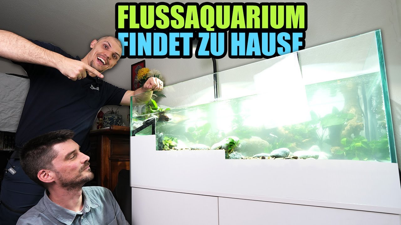 Wir bauen das FLUSSAQUARIUM beim GEWINNER auf!