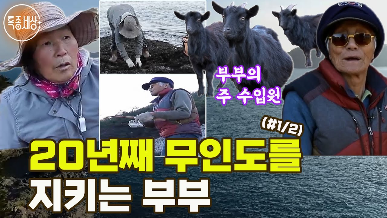 [특종세상] 20년째 무인도를 지키는 부부 MBN 200124 방송 (#1/2)