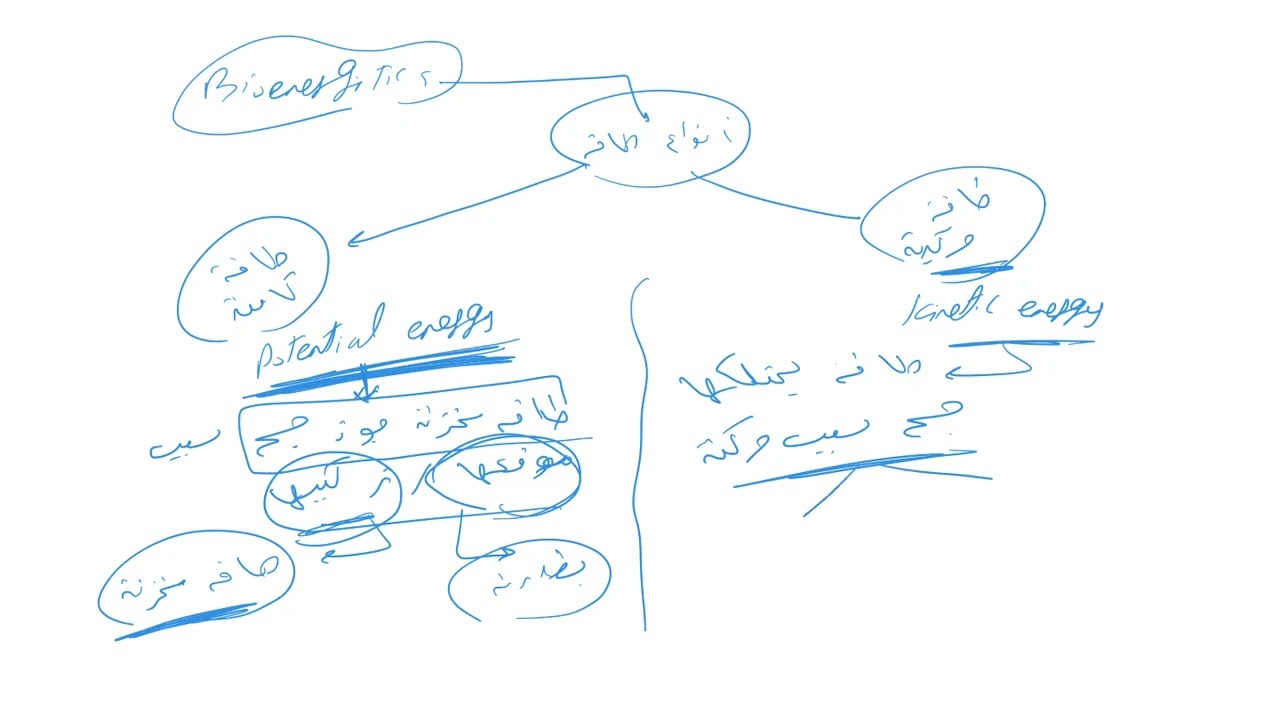 elag biochemistry 2 part one v1 720p