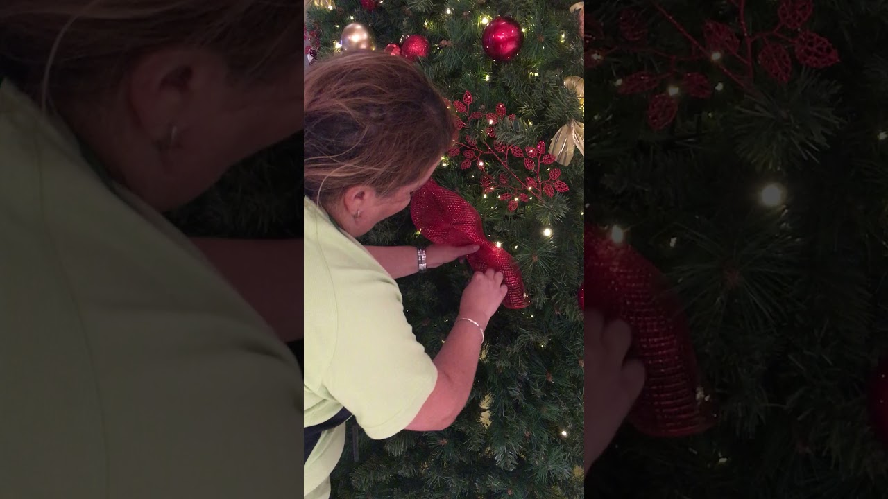 The Christmas Tree Company | Putting Mesh on a Christmas Tree