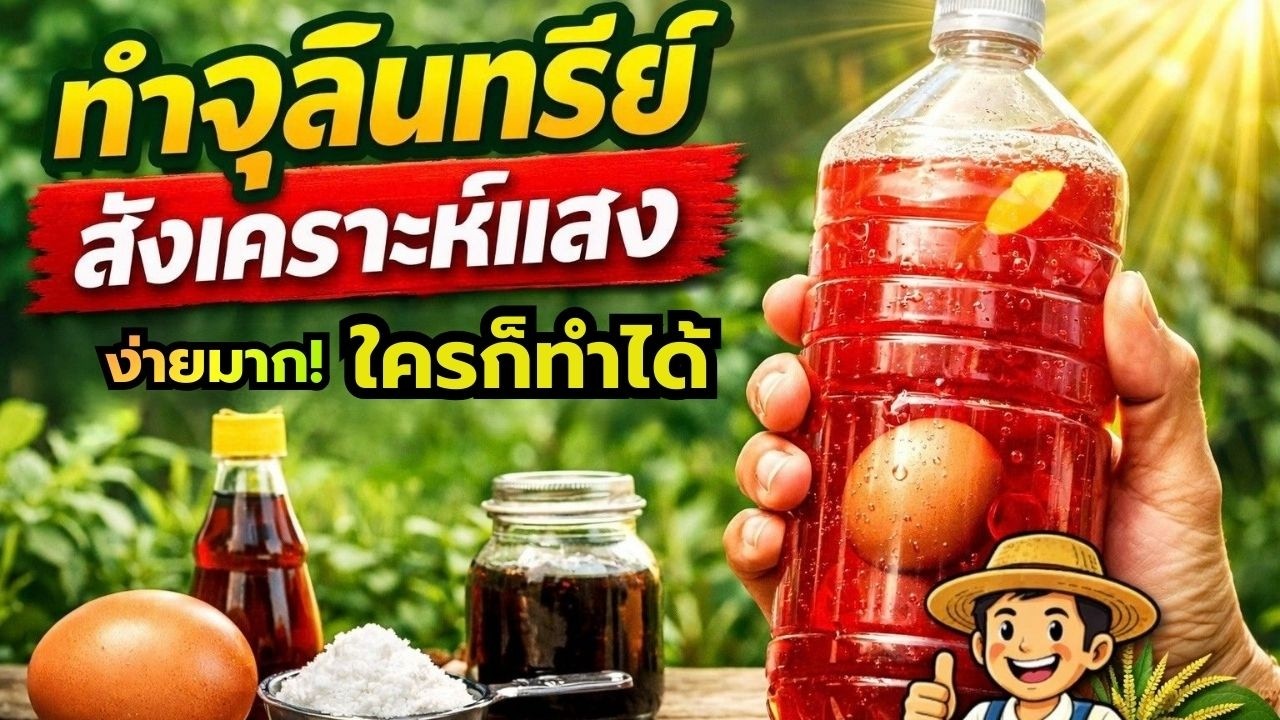 วิธีทำจุลินทรีย์สังเคราะห์แสง ใช้เองที่บ้าน ง่ายมาก ใครก็ทำได้!